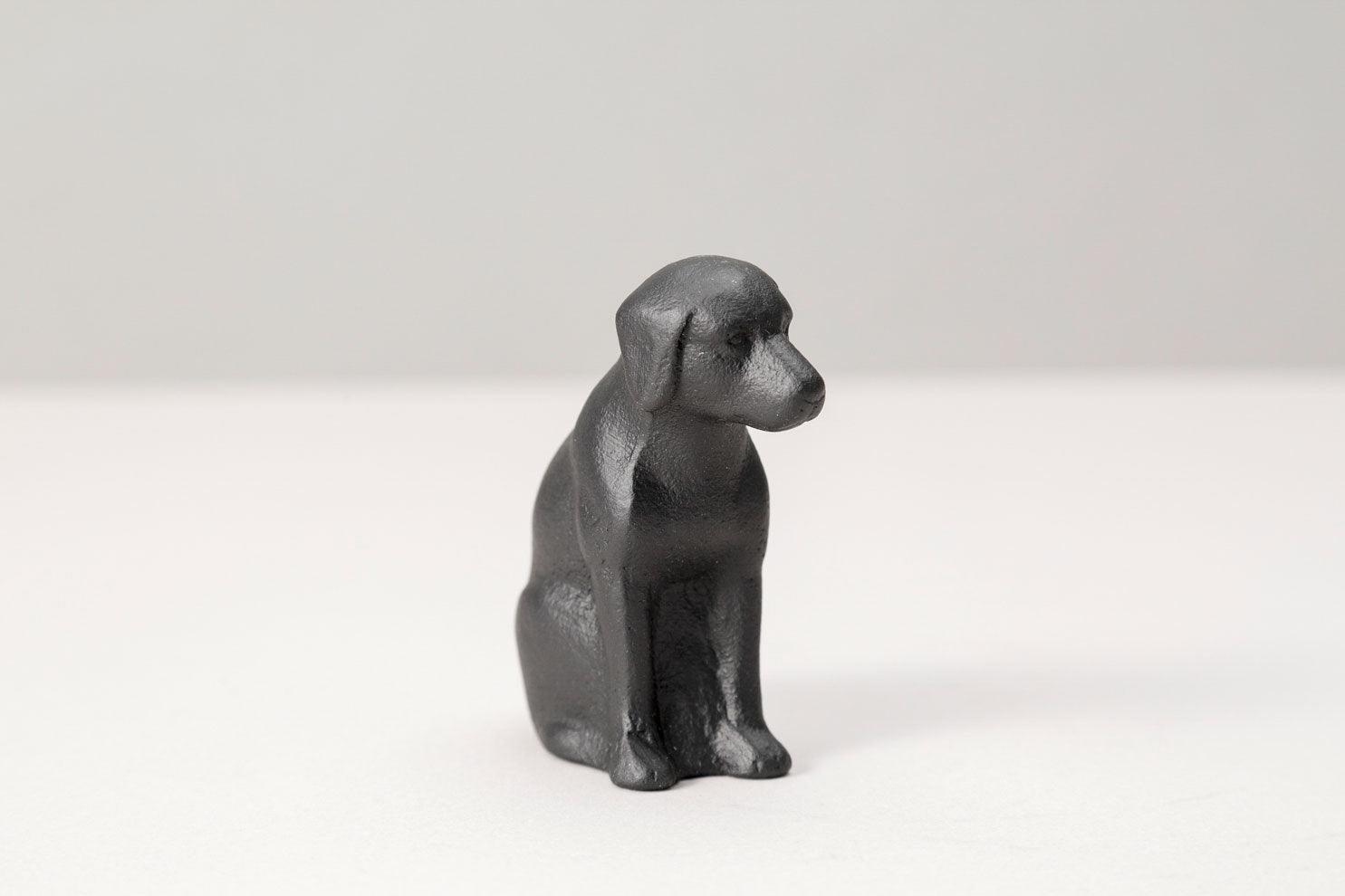 文鎮 親犬