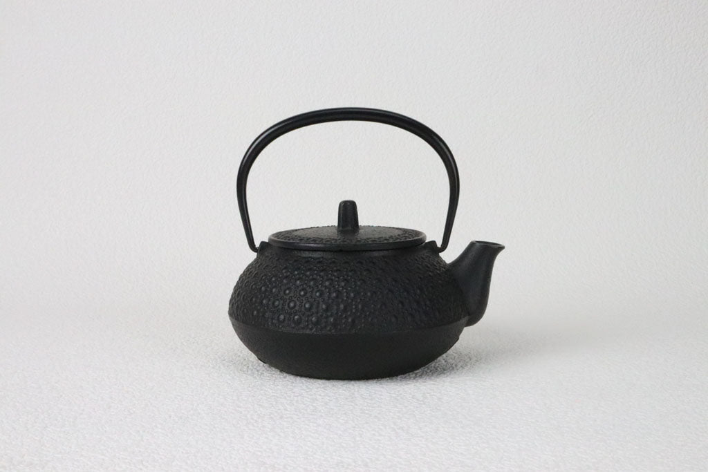 Teapot for iron kettle type 3 new turtle shell
