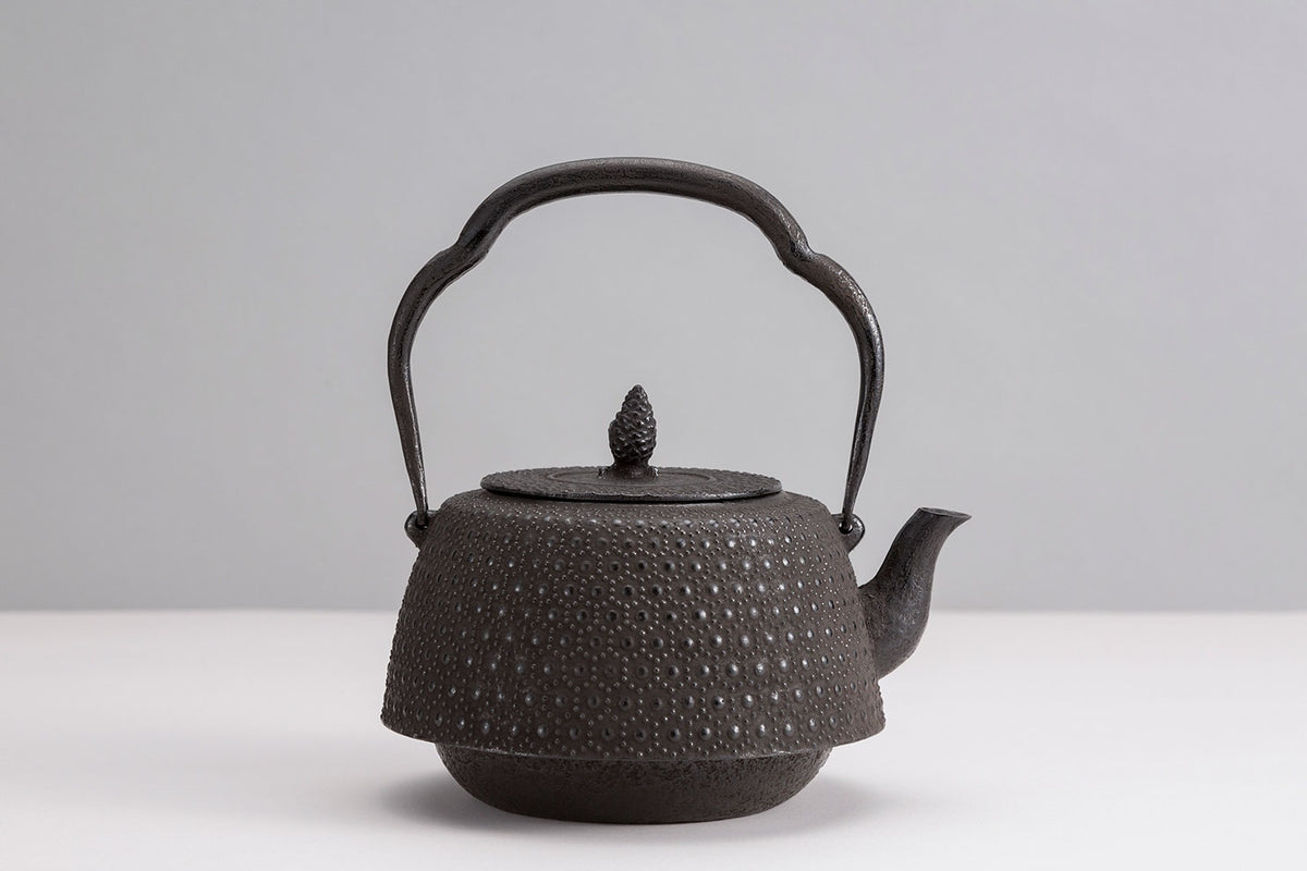 Turtle Shell Kettle Iron kettle 18 type tortoise shell with shoulder